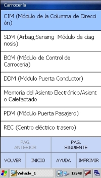 Diagnosis profesional
