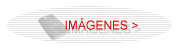 Imágenes X-431 MASTER